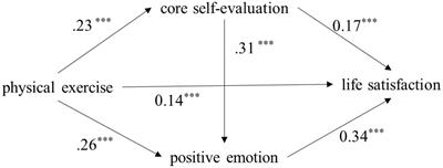 The Influence of Chinese College Students’ Physical Exercise on Life Satisfaction: The Chain Mediation Effect of Core Self-evaluation and Positive Emotion